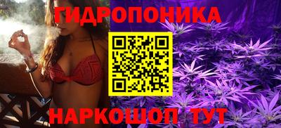 дмт Краснознаменск