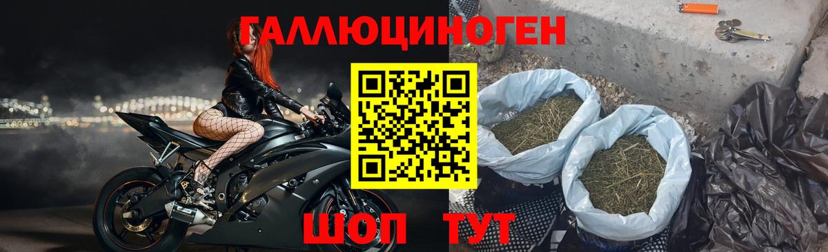 Псилоцибиновые грибы прущие грибы  Вход с VPN  Щёлково 