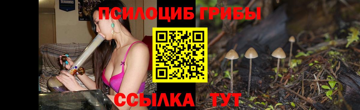 Галлюциногенные грибы MAGIC MUSHROOMS Щёлково